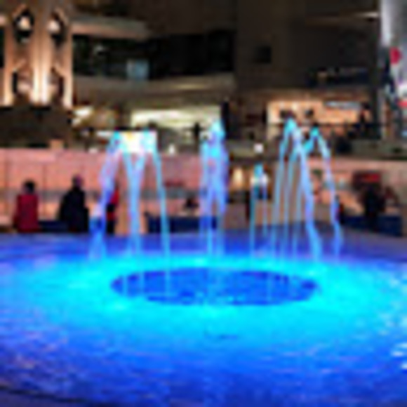 Meet your Posher, Amina - Picture 1 of 1